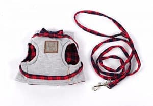 Best Cat Harnesses | Fluffy Kitty