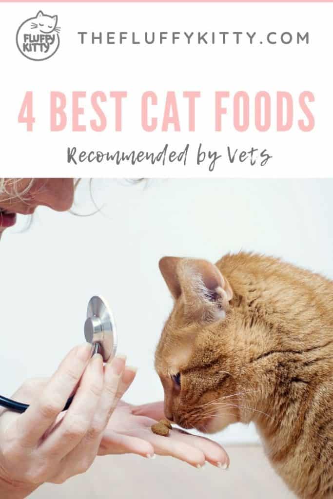 4 Best Vet Recommended Dry Cat Food Brands | Guide by The Fluffy Kitty www.thefluffykitty.com 