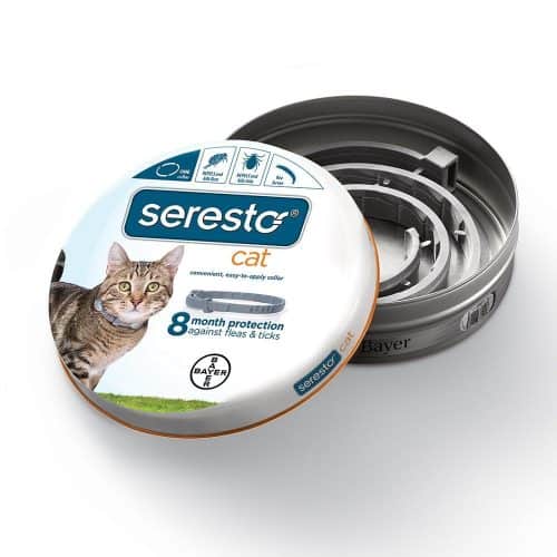 Seresto Cat Collar Review | Fluffy Kitty
