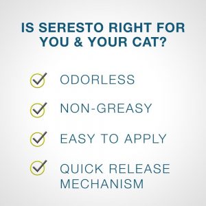 Seresto Cat Collar Review | Fluffy Kitty