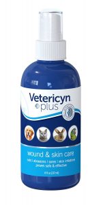 Is Neosporin Safe for Cats? | Fluffy Kitty