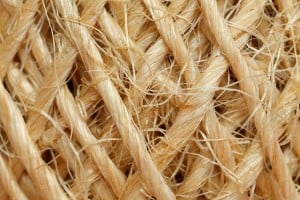 sisal scratching post