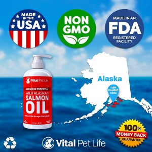 Best Fish Oil for Cats / Fluffy Kitty