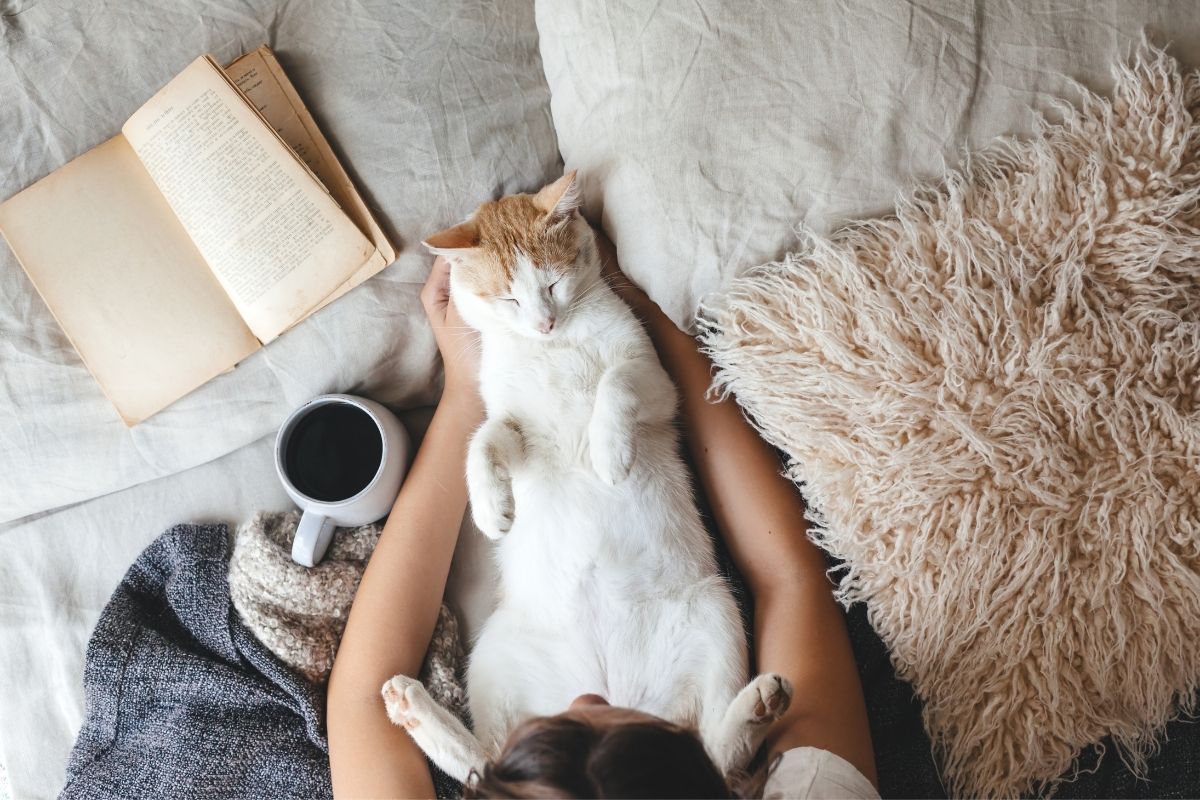 cat sleeping in woman's lap with open book and coffee mug