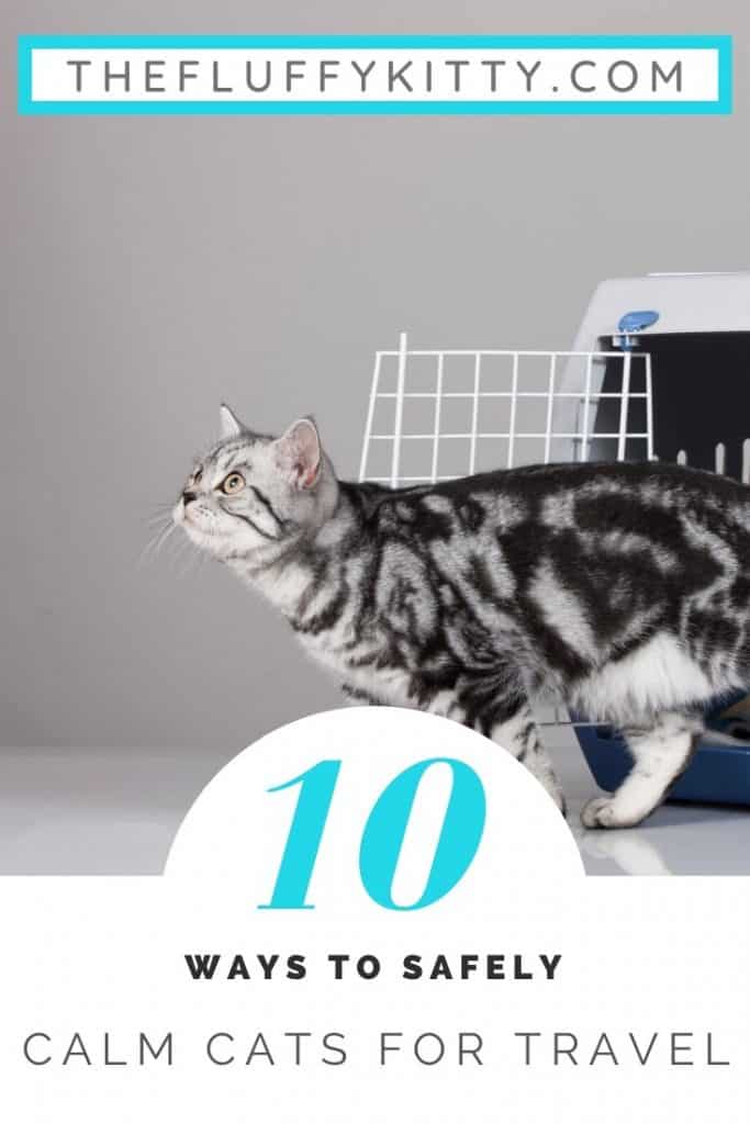 10 Ways to safely calm cats down for traveling. Guide by Fluffy Kitty www.thefluffykitty.com #cats #cattravel #cats #catcare
