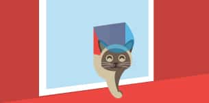 5 Things You Should Know Before Buying a Cat Door | Fluffy Kitty
