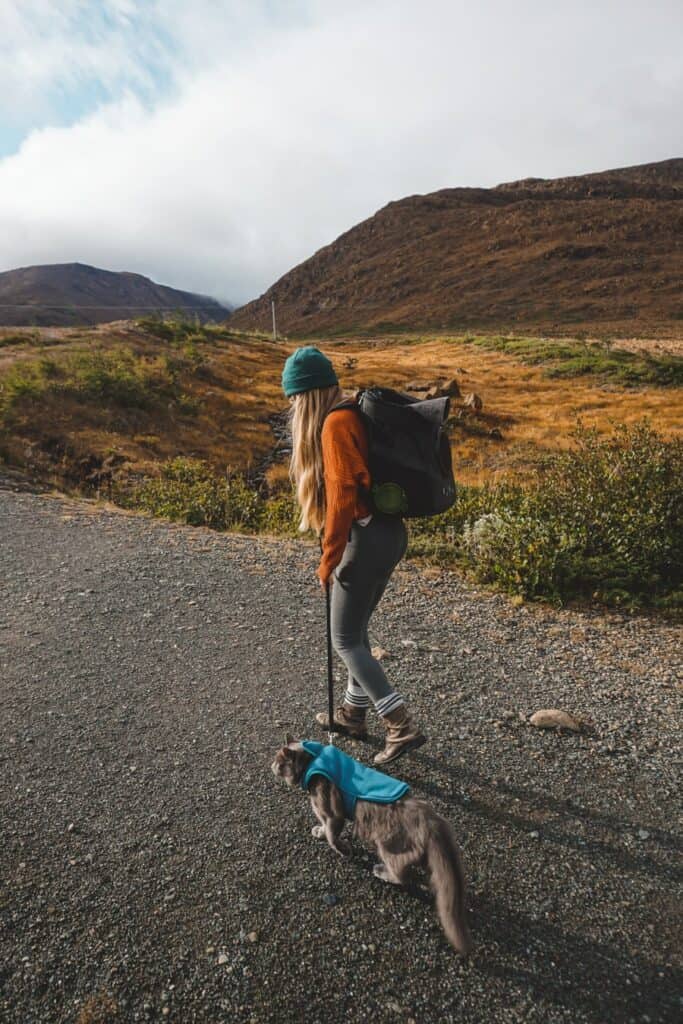 girl hiking with an adventure cat on leash outside