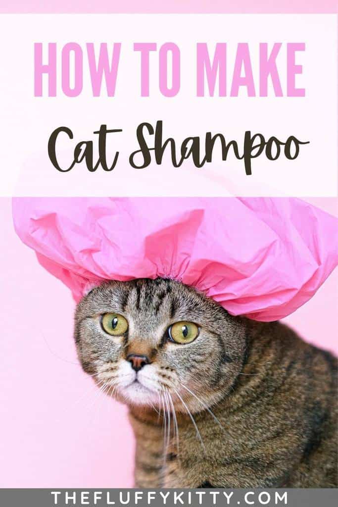 cat shampoo pin 2