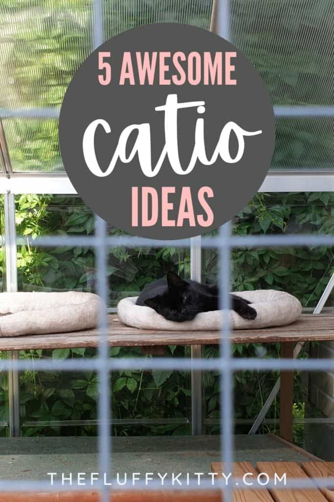 cat in cat bed inside outdoor catio