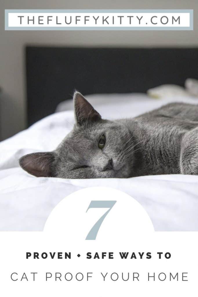 7 Ways to Cat-Proof Your Home #cats #catlovers #home #catcare