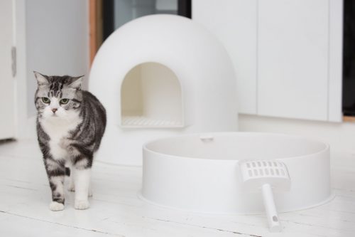 smell proof litter box