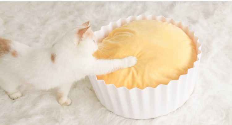 Fluffy Kitty Review: Cozy Egg Tart Cat Bed
