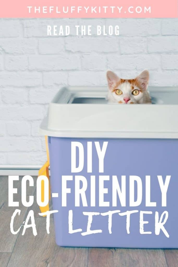 DIY Eco-Friendly Cat Litter #cats #catlitter #ecofriendly #diy | Fluffy Kitty