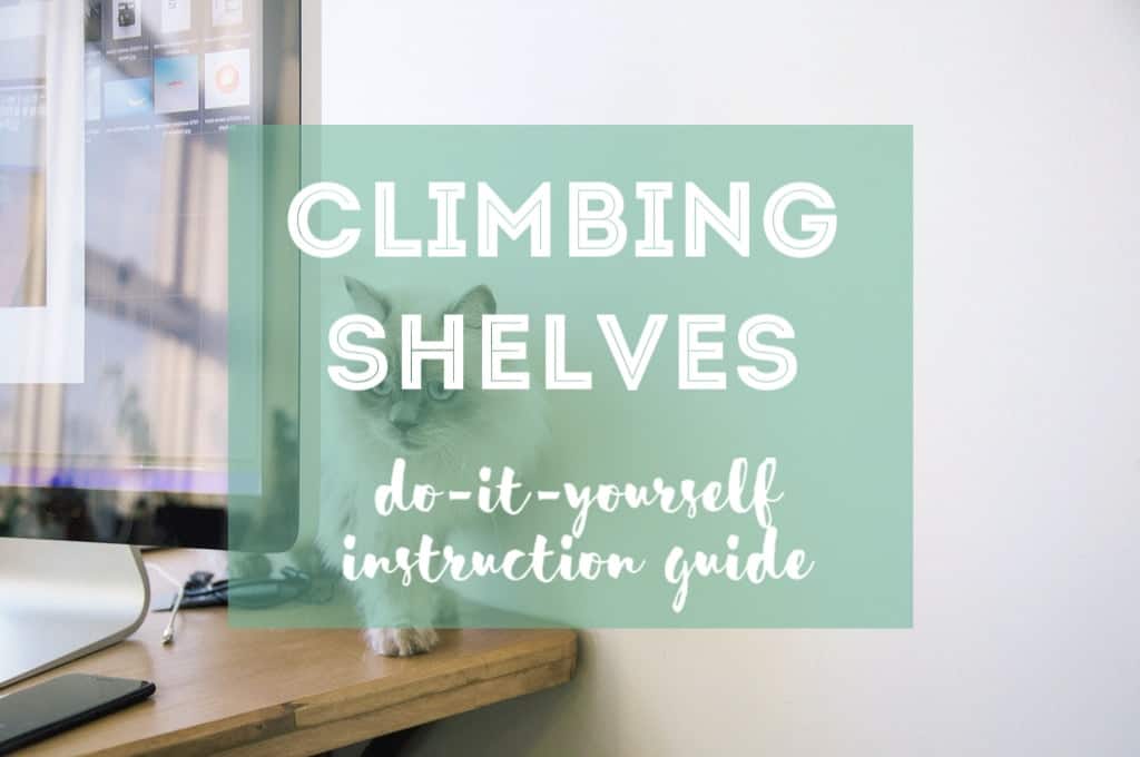 DIY Cat Climbing Shelves | Fluffy Kitty