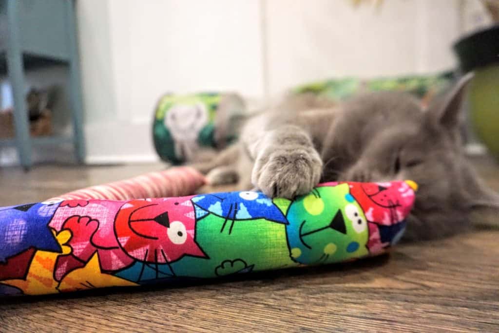 Kitty Kick Stix Review | Fluffy Kitty