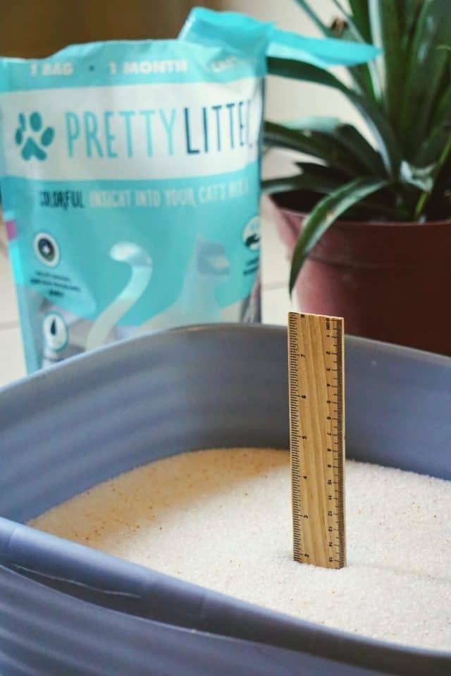 PrettyLitter Review | Fluffy Kitty