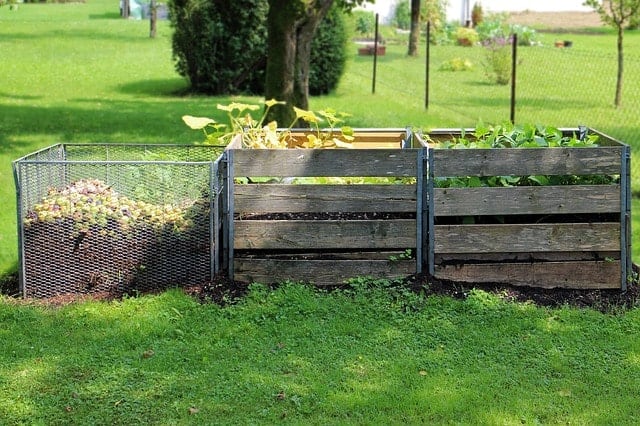 Eco-Friendly Ways to Dispose of Cat Litter