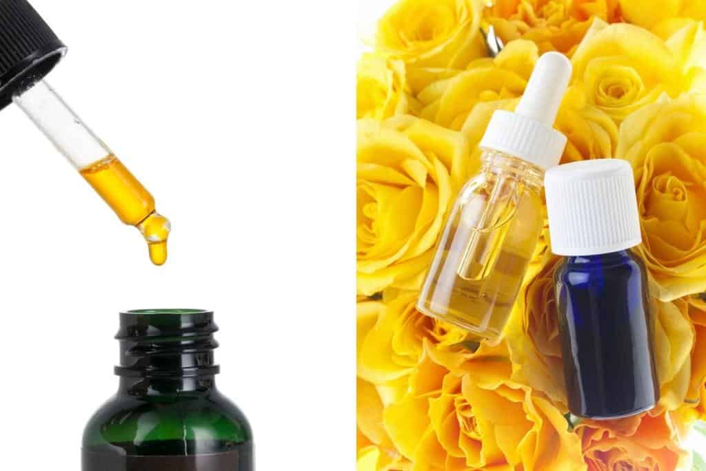 essential oils cats