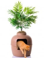 Good pet stuff plant hidden litter box