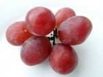 can cats eat grapes