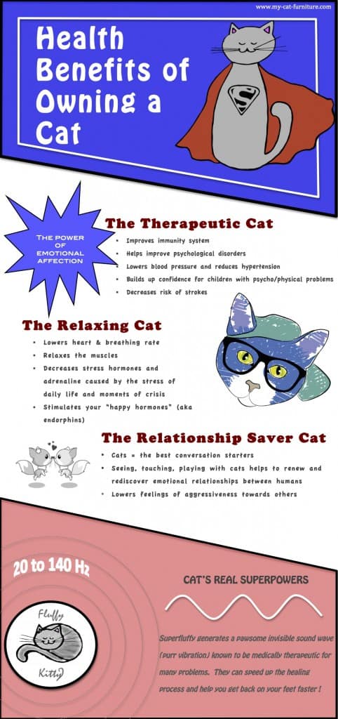 Health benefits of owning a cat infographic