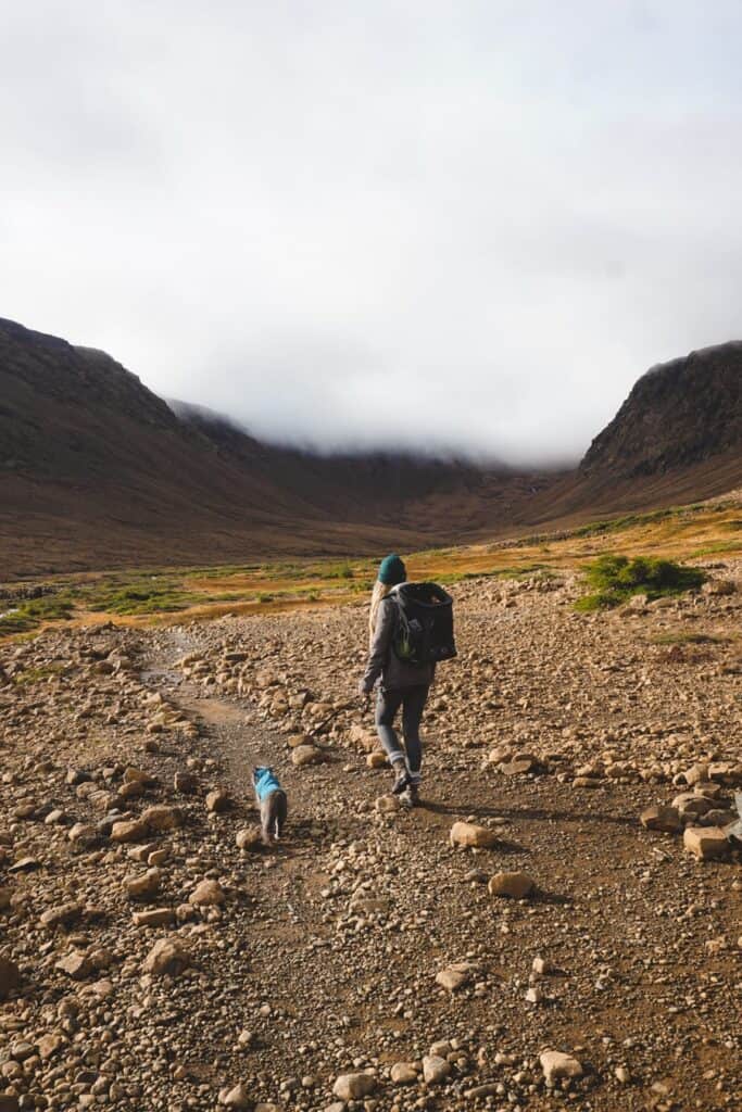 girl and her cat hiking together outside on trail in Canada