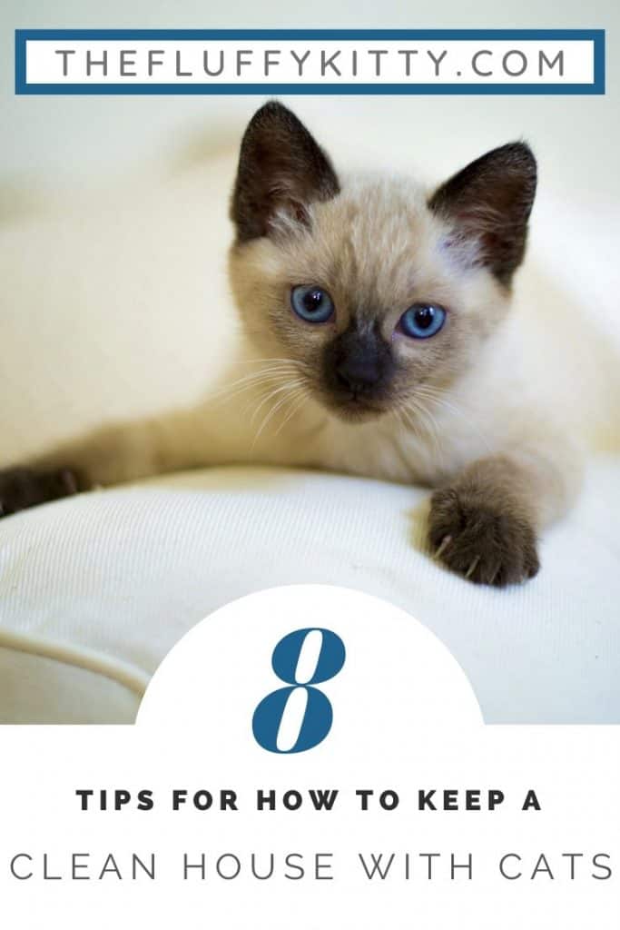 How to Keep a Clean House with Cats! Guide by The Fluffy Kitty www.thefluffykitty.com 