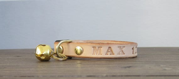 Best cat collars - Fluffy Kitty
