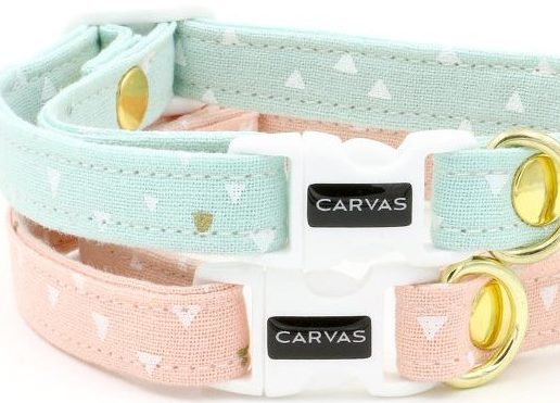 Best cat collars - Fluffy Kitty
