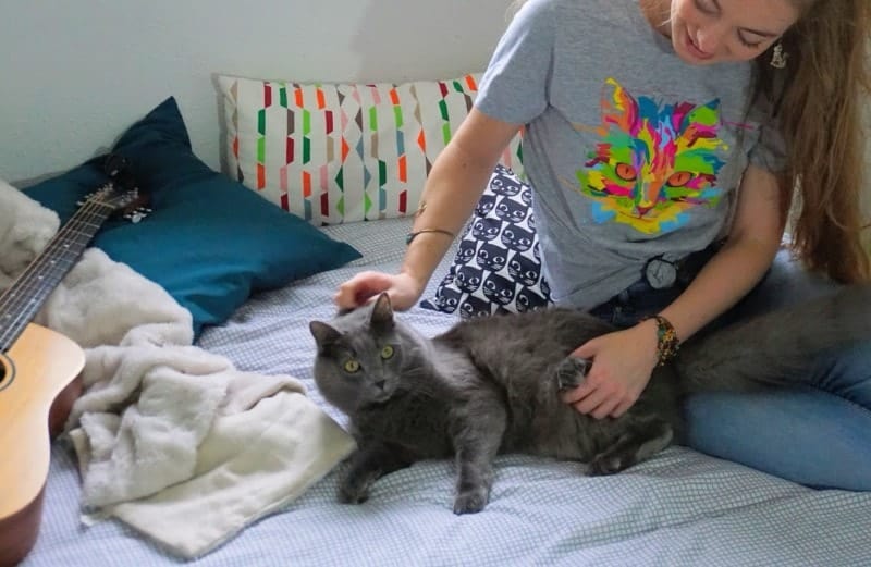 Kitty Shirt | Our Review | Fluffy Kitty