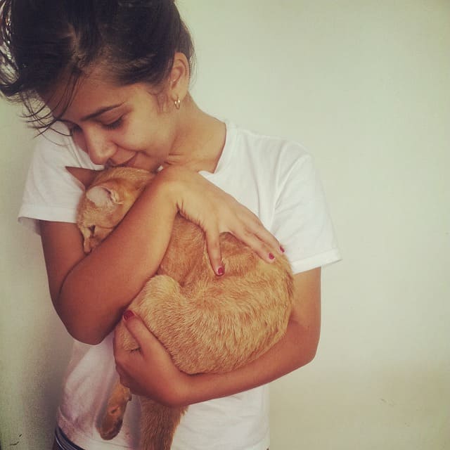 do cats help with depression and anxiety