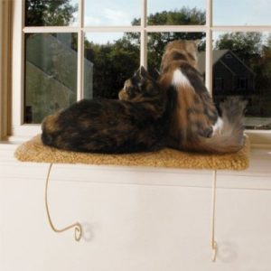 meowtown image
