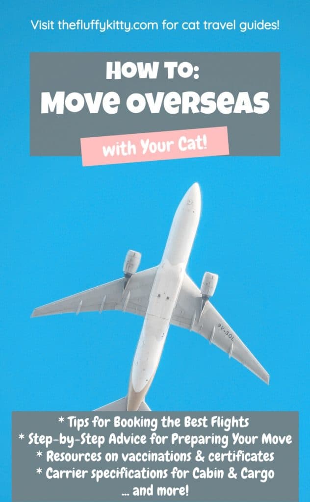 Moving Overseas with Cats Guide | Fluffy Kitty Blog thefluffykitty.com