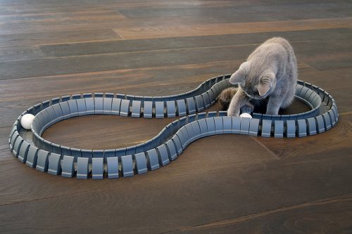 Best Christmas Gifts for Cats/Fluffy Kitty