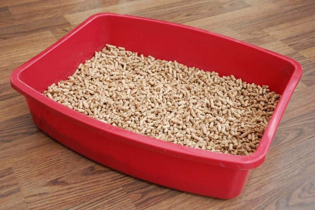 natural cat litter no dust
