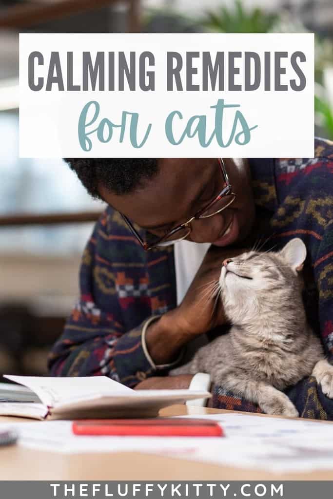 Best Natural Calming Remedies for Cats