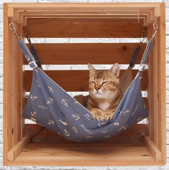 Tuft + Paw Sustainable Cat Furniture Design Competition | Fluffy Kitty 