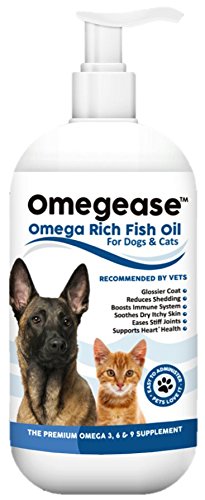 Best Fish Oil for Cats / Fluffy Kitty