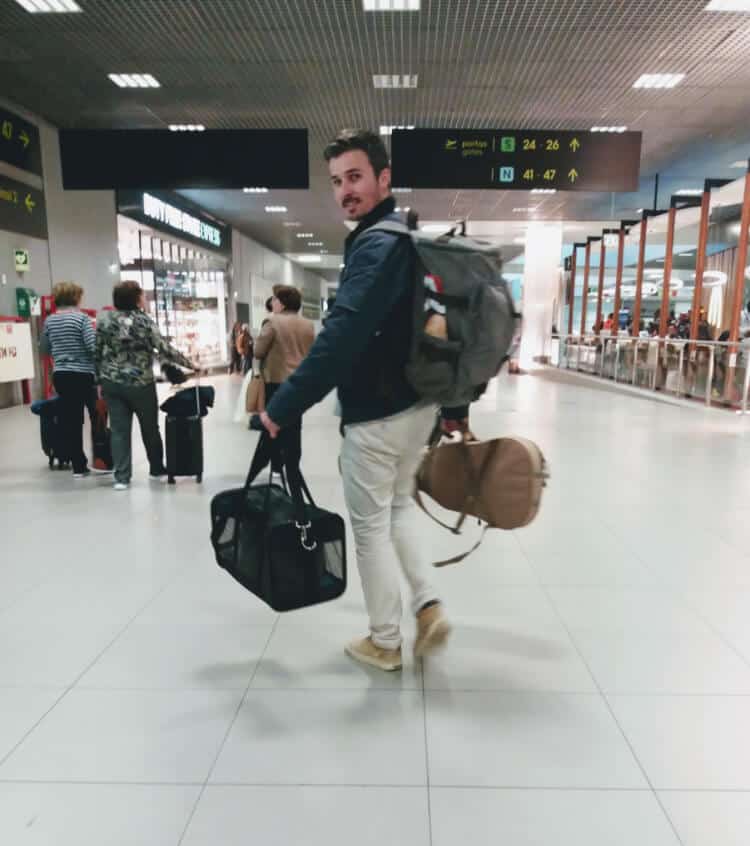 Moving Overseas with Cats | Fluffy Kitty