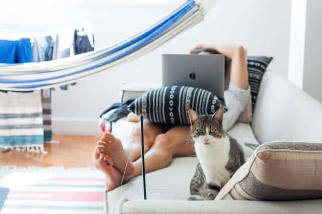 7 Ways to Cat-Proof Your Home | Fluffy Kitty