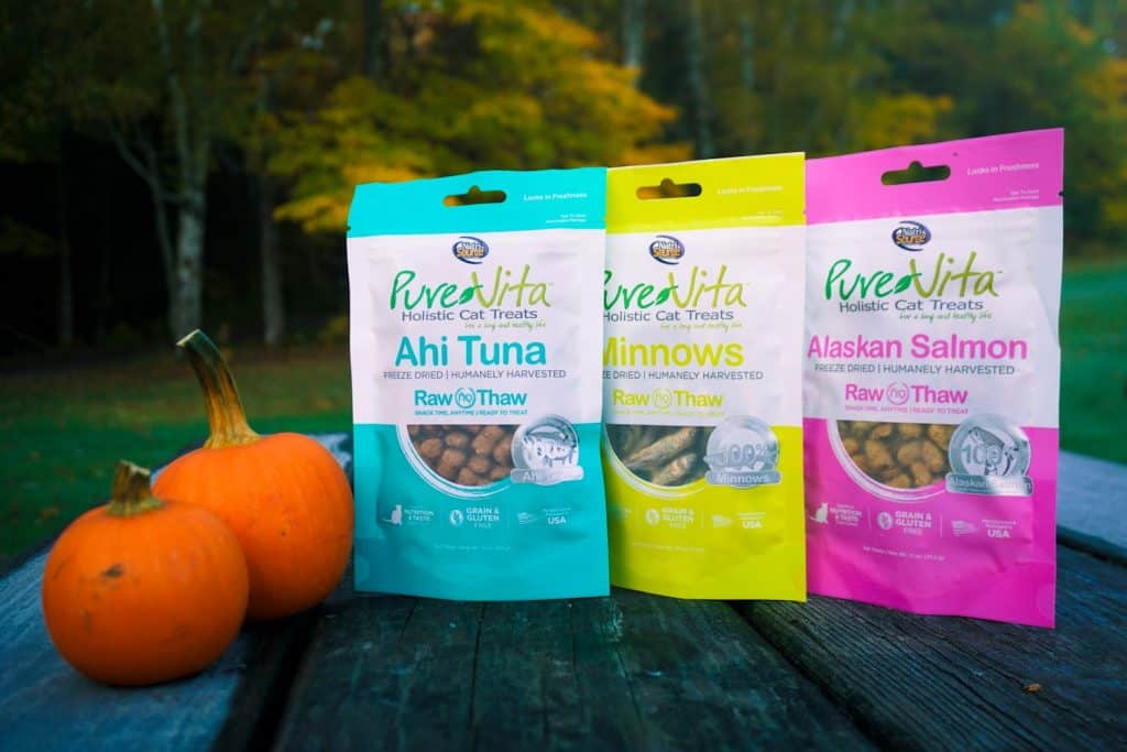PureVita's Freeze-Dried Cat Treats | Review by Fluffy Kitty www.thefluffykitty.com #cattreats #fluffykitty