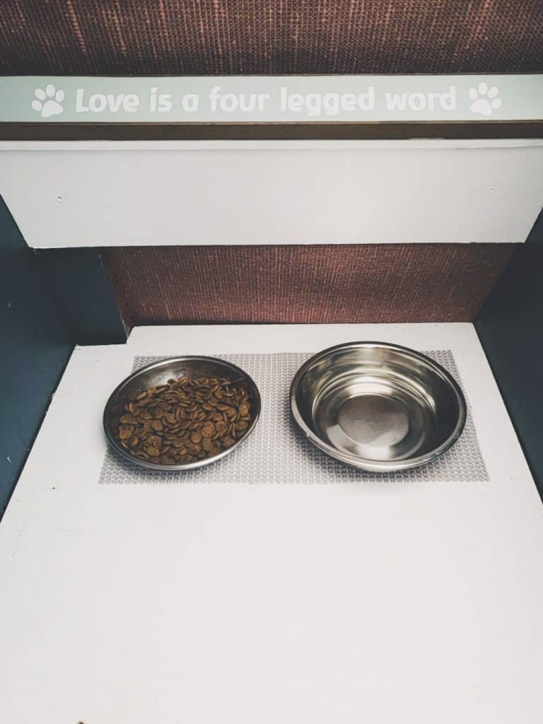 Van Life with Cats: Ultimate guide on how to manage living and traveling full-time with a cat in a camper van. www.thefluffykitty.com @fluffyyoda The Fluffy Kitty #vancat #vanlife #vanlifers #vanlifewithcats