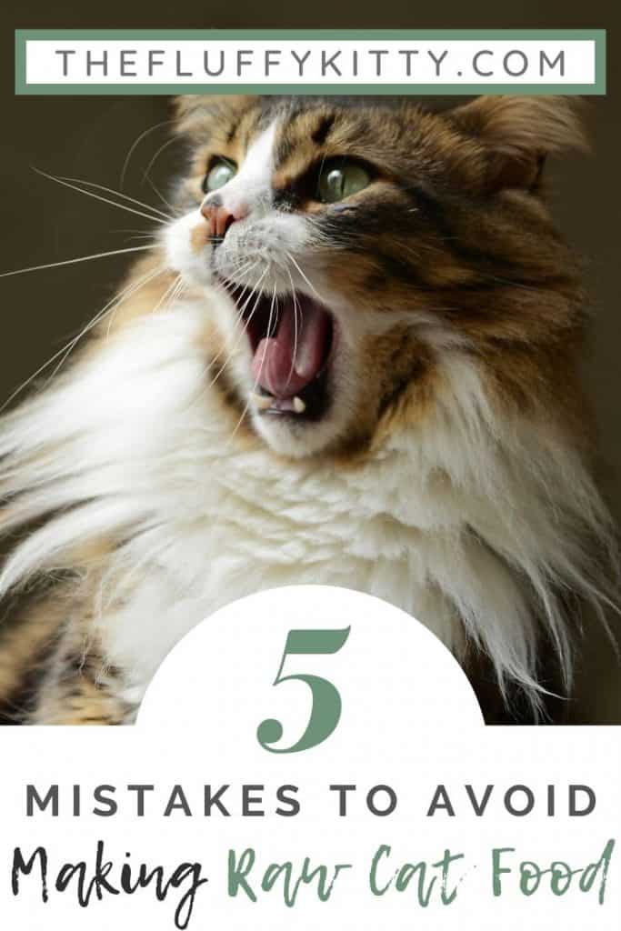 How NOT to Make Raw Cat Food | The Fluffy Kitty