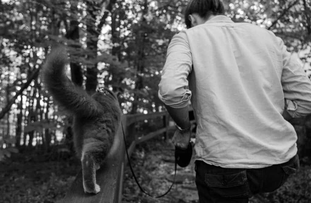 black and white photo of cat walking on leash with cat owner