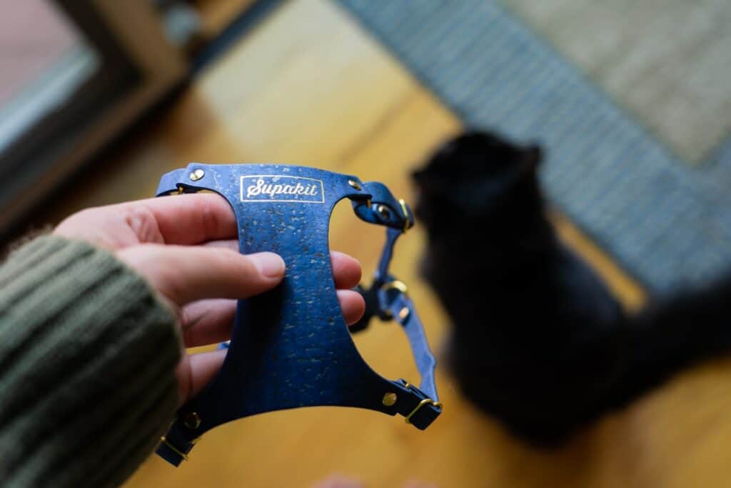 girl holding blue supakit harness with black cat on floor