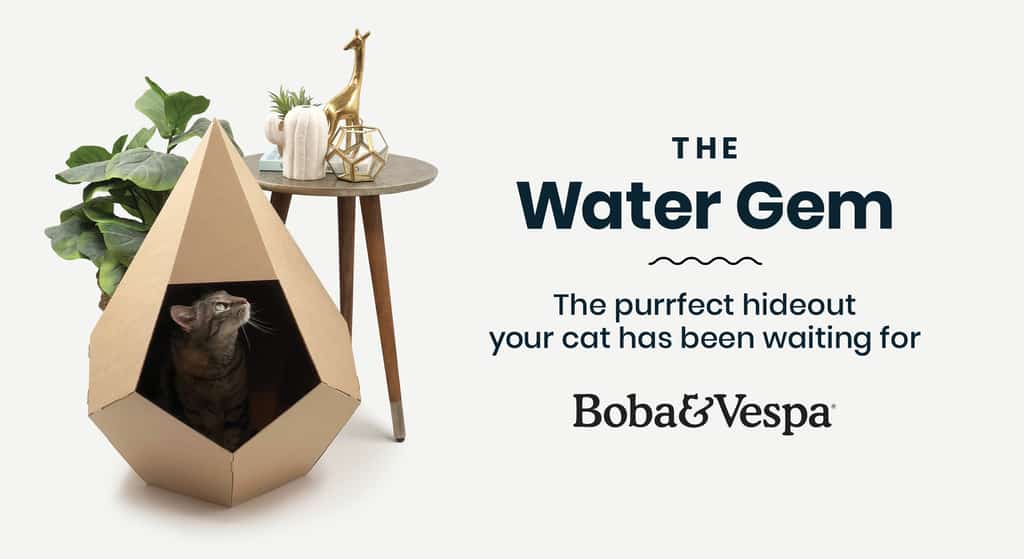 https://the-water-gem.kckb.st/aa624bd8