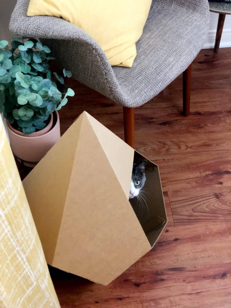 The Water Gem // Fluffy Kitty Blog Review: https://the-water-gem.kckb.st/aa624bd8