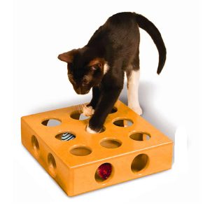 Best Christmas Gifts for Cats/Fluffy Kitty
