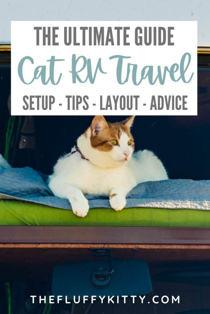 image of cat sitting in window in an rv with text overlay