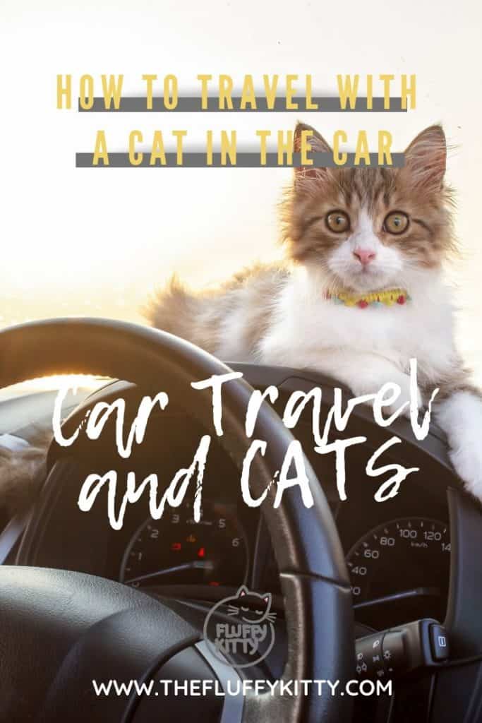 Traveling with a Cat in the Car - Our guide to safe car travel with cats. #cats #travel #cattravel #catlovers The Fluffy Kitty www.thefluffykitty.com